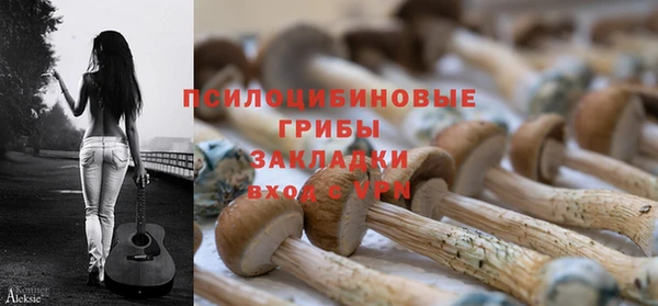 mdpv Белокуриха