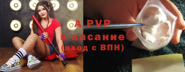 молекула духа Богородск