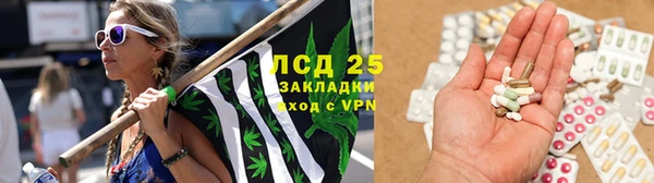 молекула духа Богородск