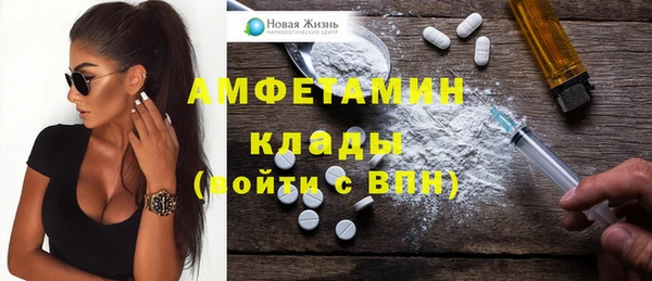 крисы Богородицк